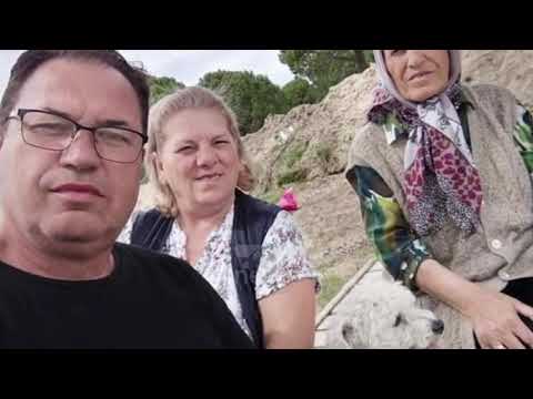 Video: Helmimi I Kërpudhave Në Qen - Kërpudha Helmuese Për Qen