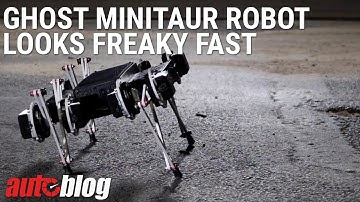 Ghost Minitaur robot looks freaky fast