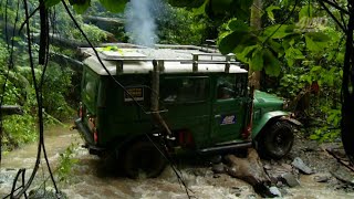 Roothy's Rainforest Challenge -  Levuka 4x4 Park