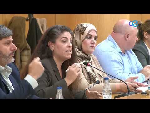 El pleno aprueba la implantación del programa KIVA contra el acoso escolar