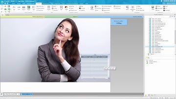 Video Tips 7 Diseño gráfico con WinDev, WebDev, WinDev Mobile