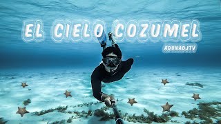  Que hacer en COZUMEL en un DIA // El Mejor Tour 