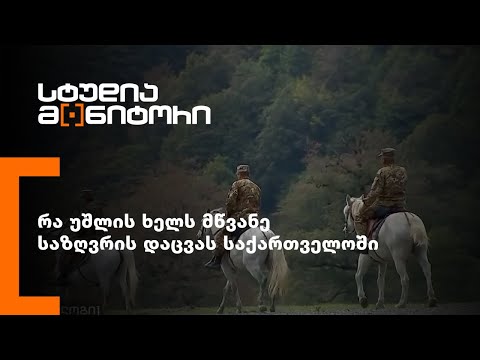 რა უშლის ხელს მწვანე საზღვრის დაცვას საქართველოში