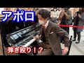 【Kobe Street Piano】「アポロ」弾き逃げ!