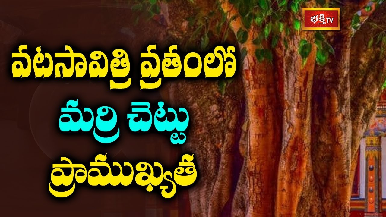 pravachanam telugu వటసావిత్రి వ్రతంలో మర్రి చెట్టు ప్రాముఖ్యత | Sri Kakunuri Suryanarayana Murthy | Dharma Sandehalu