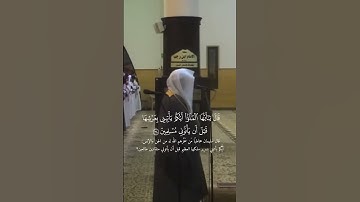 10.Ramadan #سورة_النمل #ياسر_الدوسري #quran #اكسبلور #yasseraldossary