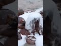 How Is This Water on Fire?! 🔥💧