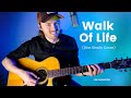 Walk Of Life • Joe Robinson • Dire Straits Cover