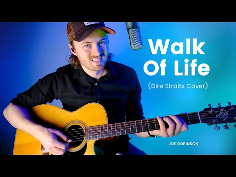 Walk Of Life Joe Robinson Dire Straits Cover