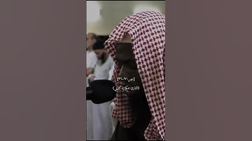 سورة عبس - الشيخ عكاشة كميني