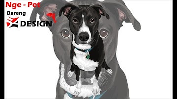 Tutorial Bikin Vector Pet Area Tengah / Wajah dengan CorelDraw