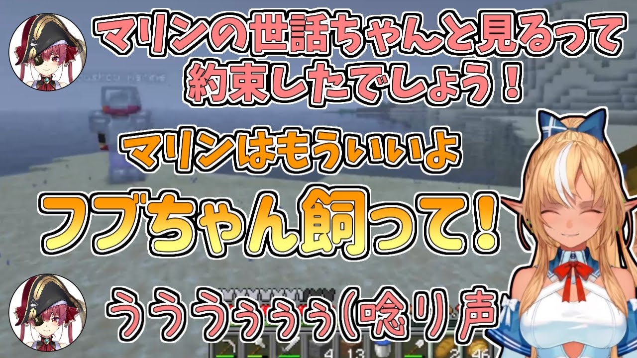 【ホロライブ切り抜き】マリン船長を飼うのをやめてフブちゃんを飼いたがるフレアちゃん【不知火フレア／宝鐘マリン／#マリフレ／マイクラ】