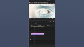 How to create X-ray Effect in Premiere Pro. #shorts