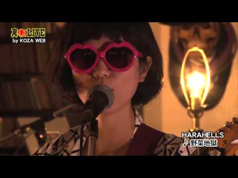 未使用】HARAHELLS 3年後のパイナップル もう呑まんぞツラい ハラヘルズ HARAHELLS ハラヘルズ / 3年後のパイナップル | RC宇座商店
