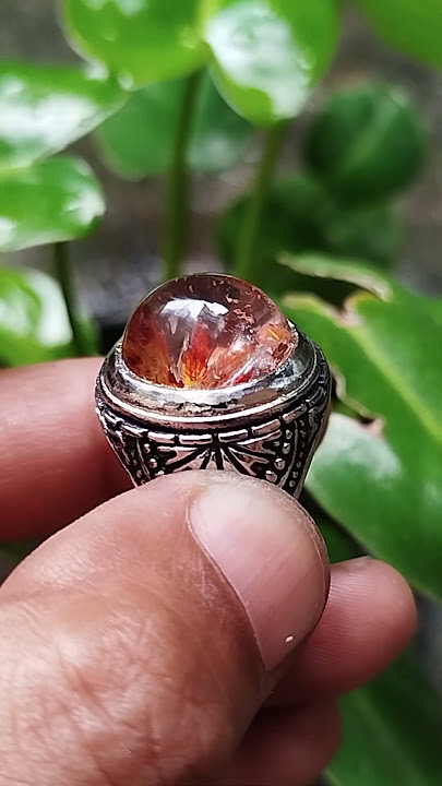 kinyang karang lempeng merah menyala /wa:085768385509