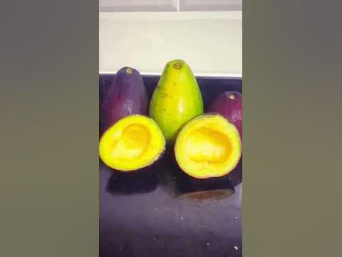 🇯🇲AMAZING JAMAICAN PEAR (aka) AVOCADO FRUIT 🇯🇲 - YouTube