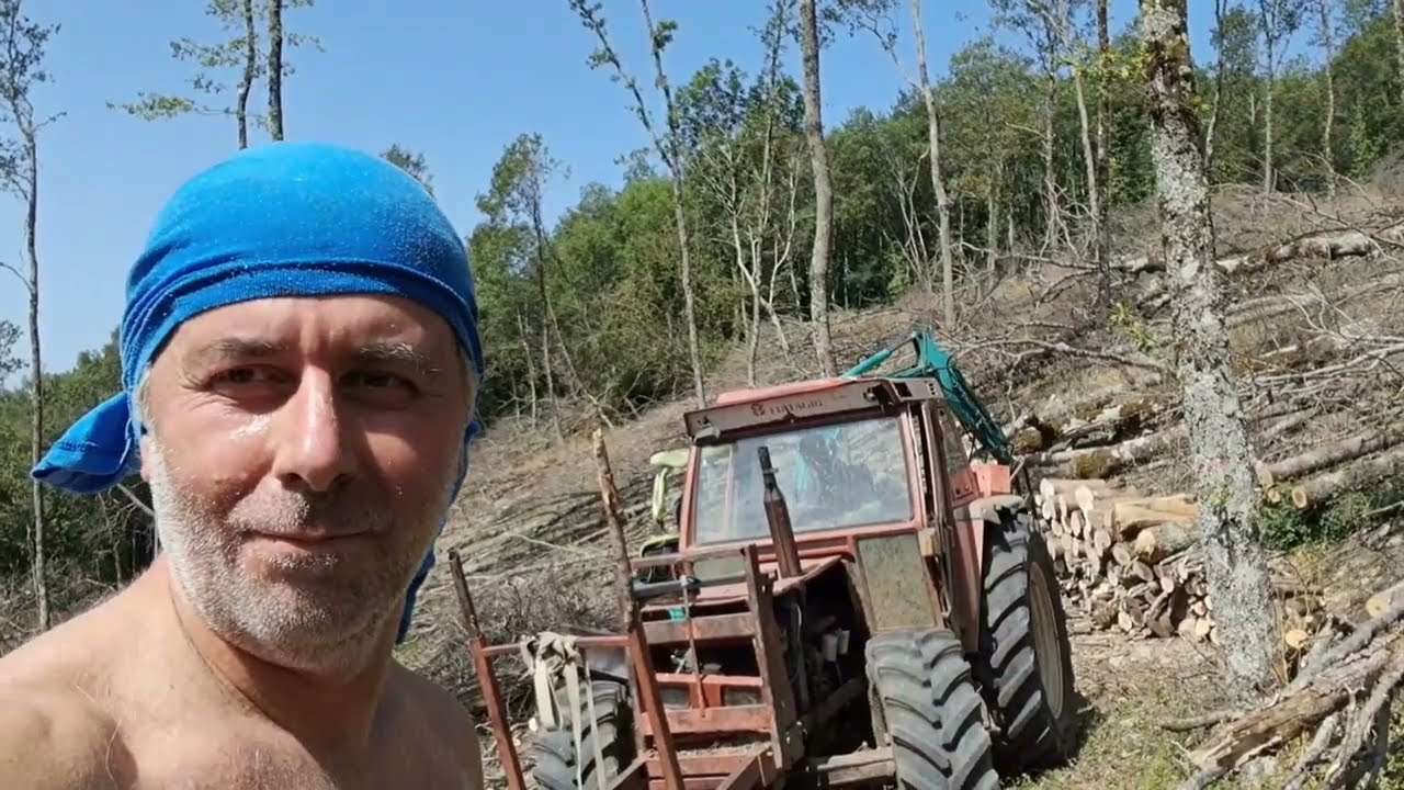 GIORNATA DI LAVORO NEI BOSCHI DELLE MAINARDE, ITALIA