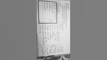 GRADE 9| COMPUTER SCIENCE| Unit 2| Activity 4| pg 25 | Experimental Skills | IPO CHART