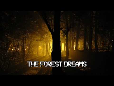 The Forest Dreams -- Background/Harp -- Royalty Free Music