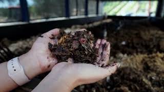 BioFiltro Testimonial - Wise Villa Winery - Lincoln, CA