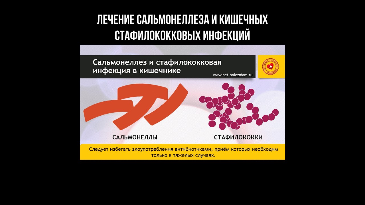 Лечение сальмонеллеза и кишечных стафилококковых инфекций #сальмонелла #стафилококк #инфекция
