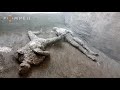 L'impronta del dolore: le vittime di Civita Giuliana – Gli ultimi calchi di Pompei