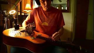 I Am What I Am by Veronica Swift (Resonator Guitar Cover)