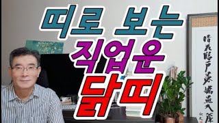 두뇌가 명석하고 욕심과 야먕이 있는 닭띠직업운,닭띠적성,닭띠사주