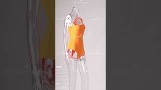 Girlmerry Seven Colors Solid Color Spring Autumn Stretch Fit Y Silk Bodysuit Wholesale 035241