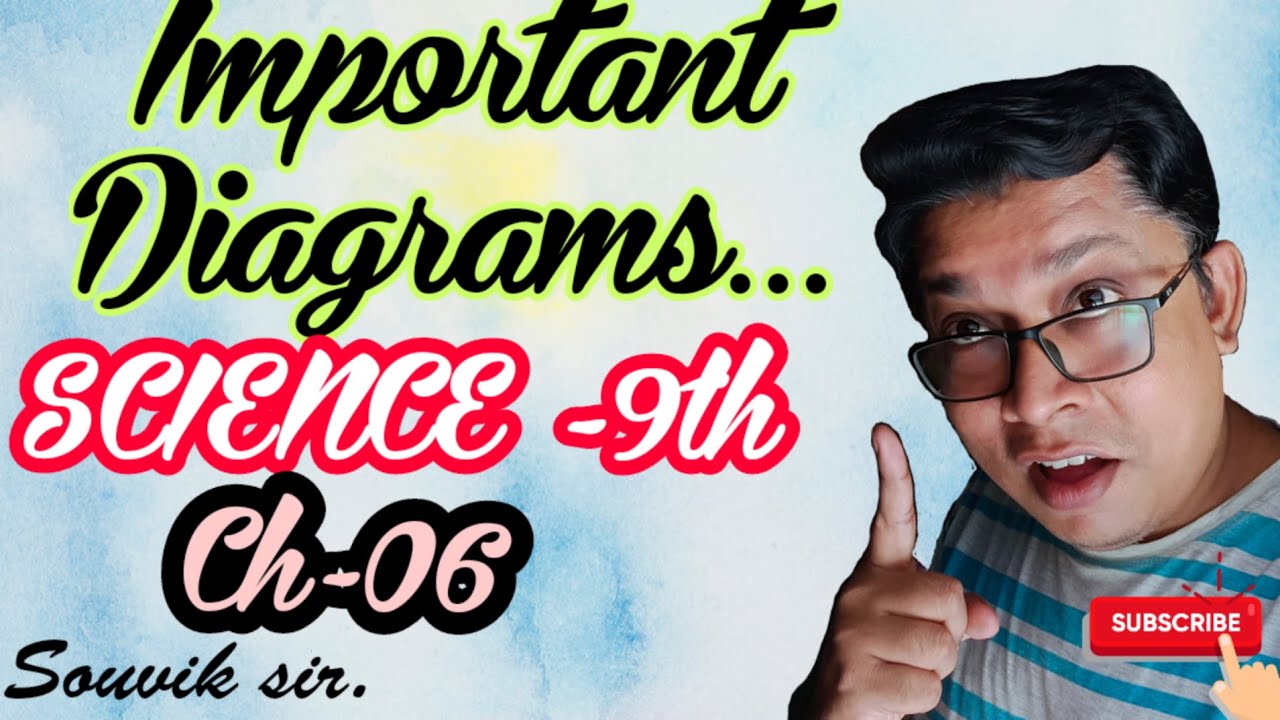 CHAPTER-06 IMPORTANT DIAGRAMS | NCERT SCIENCE | CLASS IX | CBSE & ICSE