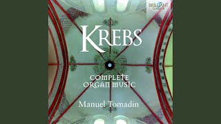 Download lagu Trio in C Major (2)