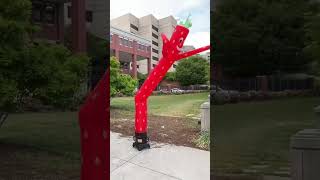 Roanoke Strawberry Festival 1st week of May 2025 plus Honey and Shortcake