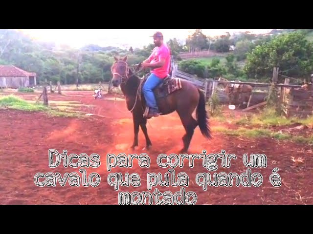 Cavalo que Pula quando Monta 