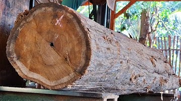 An unexpected surprise from an old teak log full of beautiful grain when sawed at the sawmill 