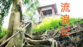 流浪记 | 演绎 李佩玲 live 舞台2023 版本