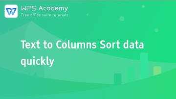 [WPS Academy] 1.7.7 Excel:Text to Columns Sort data quickly