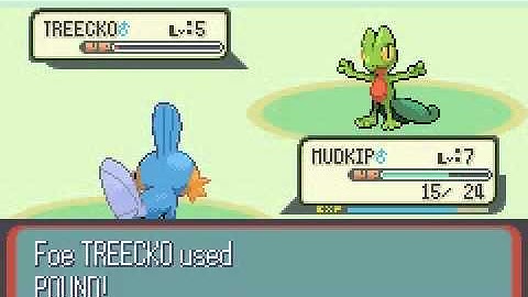 pokemon ruby walkthrough 2 i defeat  may round 1