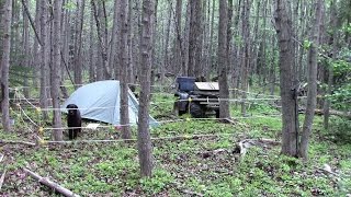 Make Your Own Camp Bear Fence