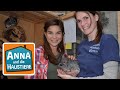 Chinchilla | Information für Kinder | Anna und die Haustiere