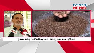 Before GI Tag, Koraput’s Black Jeera Rice In Controversy