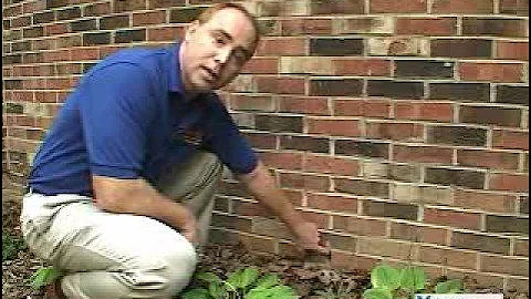 Better than brick weep holes - BrickVent