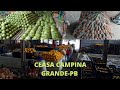 CEASA DE CAMPINA GRANDE-PB O MAIOR CENTRO DE DISTRIBUIÇÃO DE FRUTA VERDURA E LEGUMES DA PARAÍBA