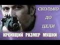 Расстояние до цели. КРОЮЩАЯ величина МУШКИ & ЦЕЛИКА АКалашникова.