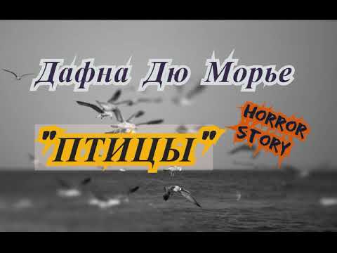Дафна Дю Морье "ПТИЦЫ" (1952 г. ) рассказ