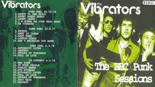 Video thumbnail of "The Vibrators - Baby Baby (BBC Punk Sessions Version)"