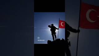 Efeler Gibi ... Efelik Efendiliktir. Dr. Devrim Alkaya