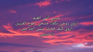 Siilawy _ عشاني ( lyrics/كلمات)