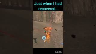 Just when I had recovered...     #zelda #botw #speedrun #glitchmoments