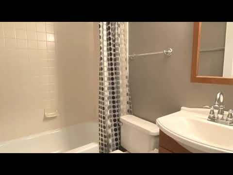556 E Shag Bark Lane, Streamwood, IL home video tour