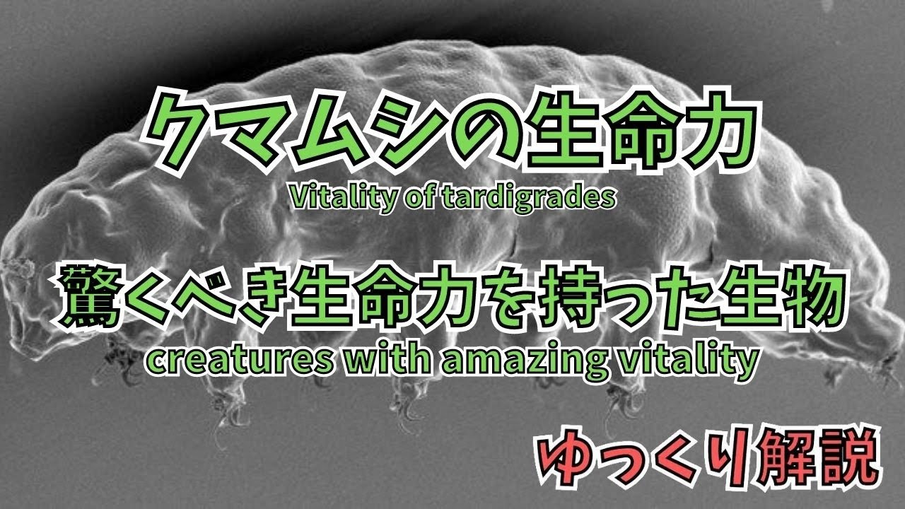 驚異の生命力!クマムシの不死化とは? Amazing Life Force! What is the phenomenon of ...